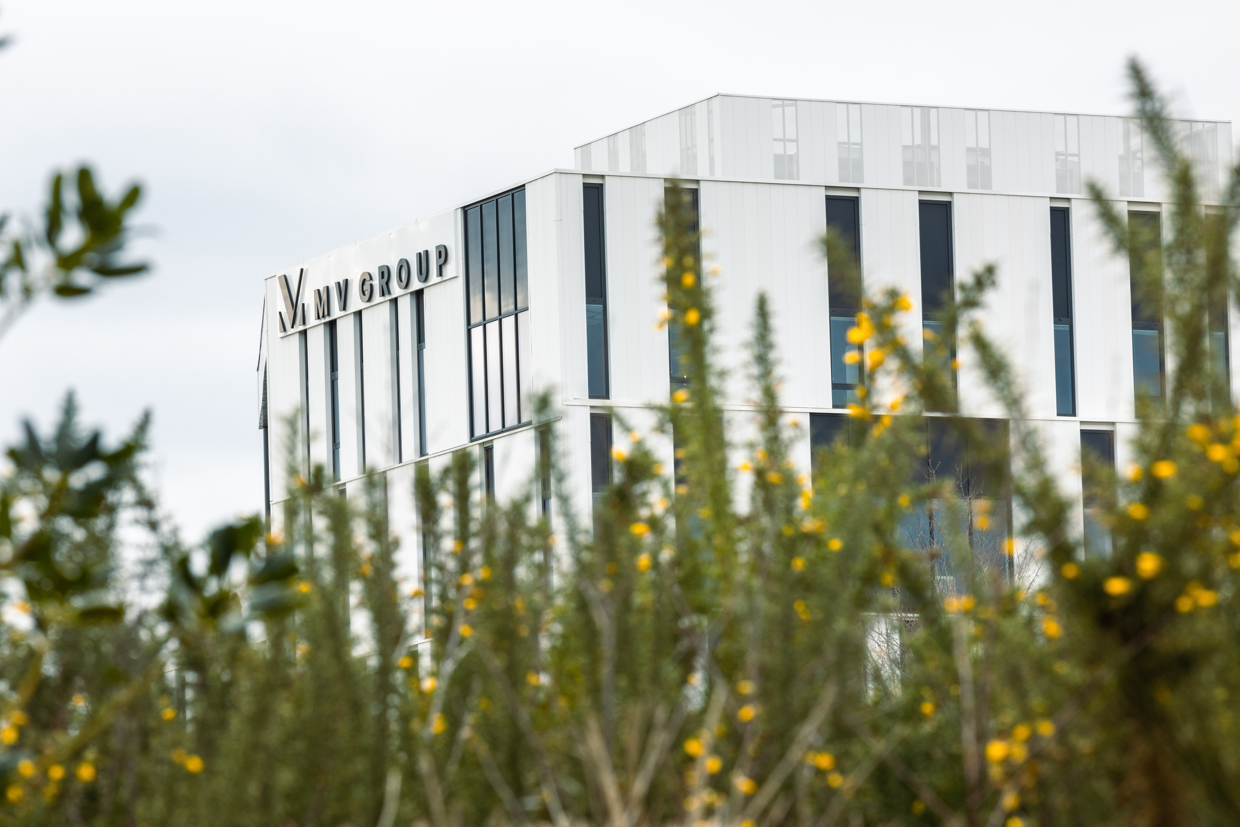 Bâtiment MV Group